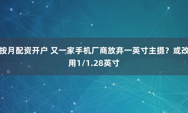 按月配资开户 又一家手机厂商放弃一英寸主摄？或改用1/1.28英寸