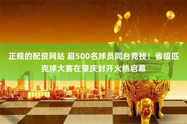 正规的配资网站 超500名球员同台竞技！省级匹克球大赛在肇庆封开火热启幕